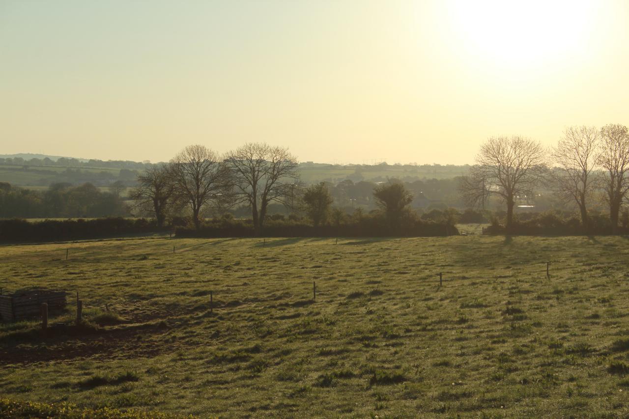 Grey Gables Farmhouse B&B Innishannon 外观 照片