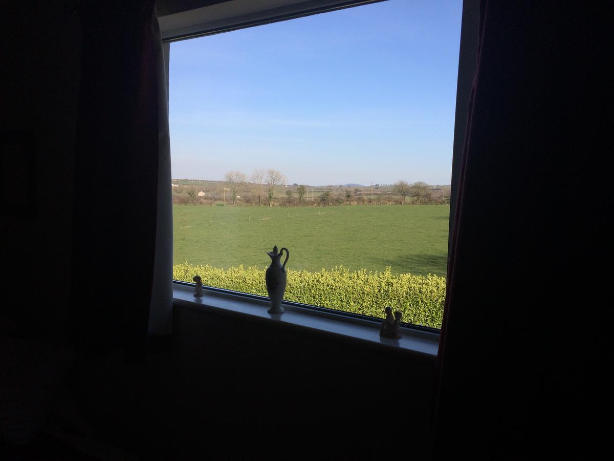 Grey Gables Farmhouse B&B Innishannon 外观 照片