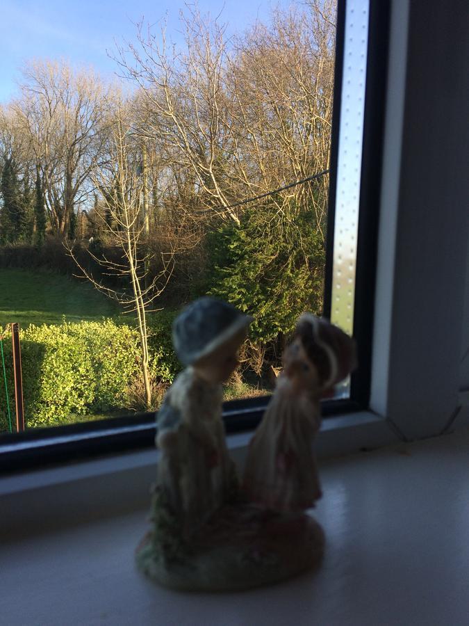 Grey Gables Farmhouse B&B Innishannon 外观 照片