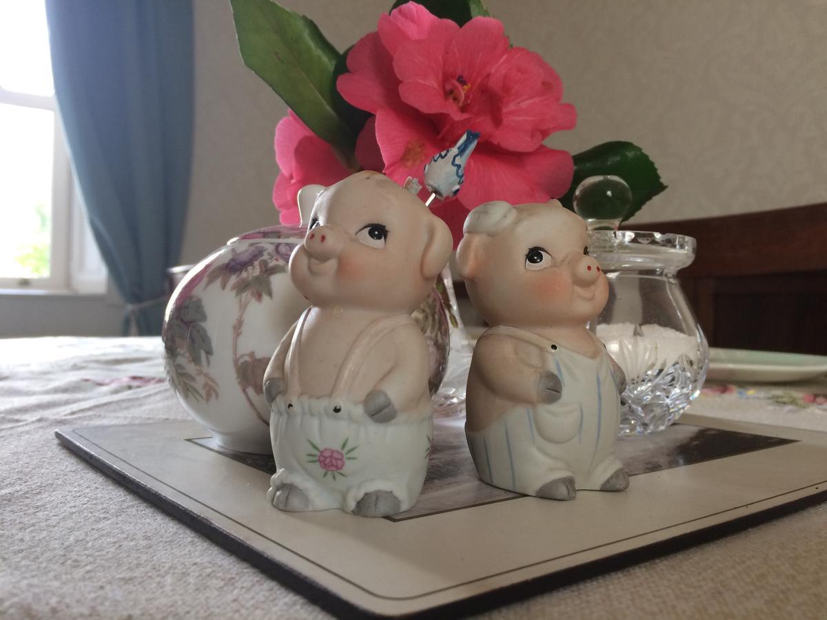 Grey Gables Farmhouse B&B Innishannon 外观 照片